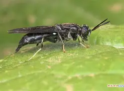 关于?崻挔m韻棪繶髑??3?-虻黲S1I国的信息-爱游戏体育下载